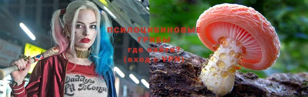 экстази Алексин
